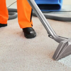 Carpet Cleaning