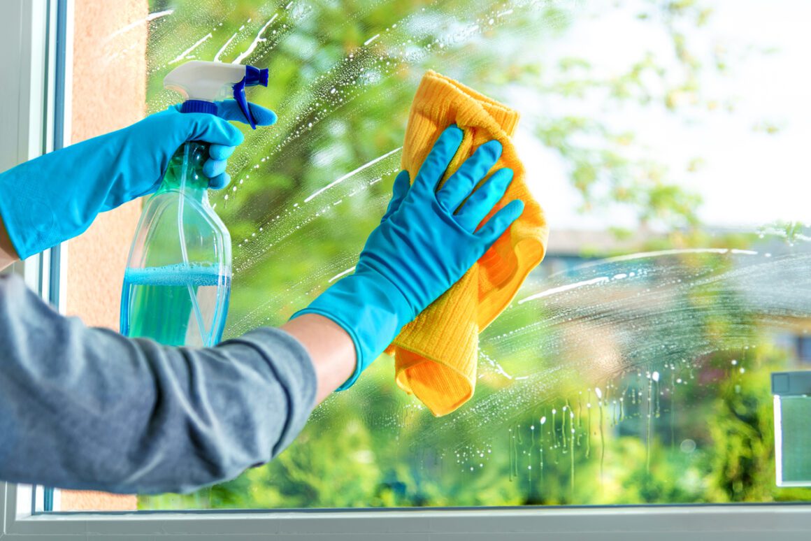 Professional Window Cleaning