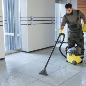 professional cleaning services